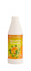 Основа для напитков ProffSyrup Крыжовник-Апельсин